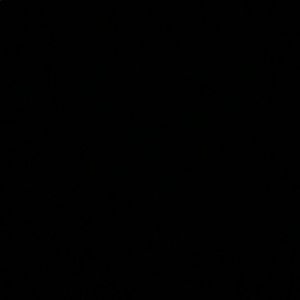 Meet your Posher, Mya